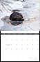 2026 british columbia nature calendar